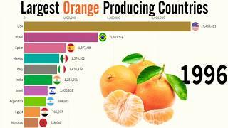 World Largest Orange Producing Countries in the World (1995) (2020) Top 10 Waves