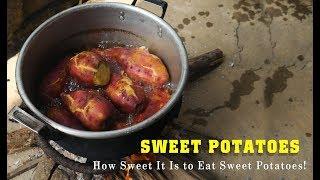 The Real Sweetness of Sweet Potatoes is the Health Benefits! | TOP 10 Indian Herbs