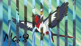 Ash Top 10 best flaying type Pokemon
