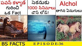 Top Most Intersting And Amazing Facts In Telugu | Unknown Facts In Telugu | BS Facts | EP-36