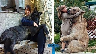 Top 11 SCARIEST Unusual Pets People Actually Own