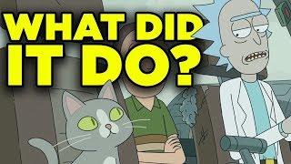 Rick and Morty 4x04 SECRET CAT ORIGIN Revealed! | Ricksplained