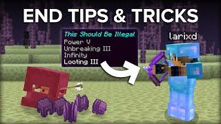 10+ Minecraft End Dimension Tips and Tricks