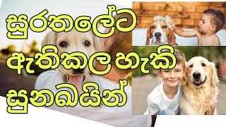 Top 10 Family Dogs in The World sinhala | ලෝකයේ සුරතලේට ඇතිකල හැකි සුනඛ වීශේෂ