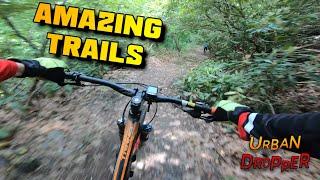 Top 10 MTB Trails In New Jersey Area