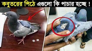 এয়ারপোর্ট সিকিউরিটিকে ফাঁকি দেওয়ার এই উদ্ভট পদ্ধতিগুলো কারন জানার পর আপনার মাথা ঘোরাতে শুরু করবে !