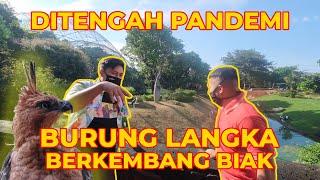 KONDISI TERIKINI TAMAN BURUNG DITENGAH KOTA, BURUNG LANGKA BERTELUR..!