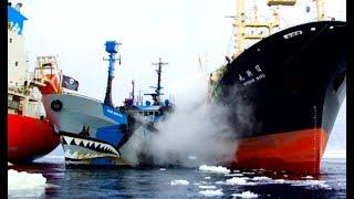 Top 10 Ships Crashing! Ship Accidents