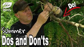 Top 10 Summer Deer Hunting Strategy Mistakes