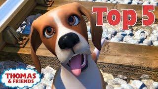 Thomas & Friends UK™ | Top 5 Animals! | Best of Thomas Highlights | Thomas Top 5 | Kids Cartoon