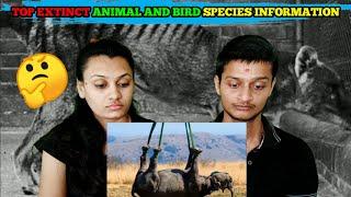 Reaction Makers | Top Extinct animal and bird species information | दुनिया की 5 विलुप्त प्रजातियां