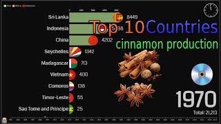 Top 10 Countries by cinnamon (cinnella) production around the world 1961 - 2018
