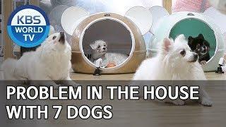 Problem in the house with 7 dogs [Dogs are incredible/ENG/2020.02.25]