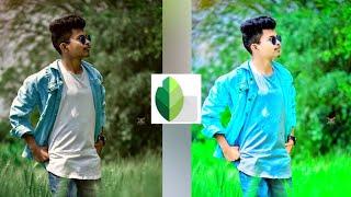 Snapseed green colour photo editing || snapseed editing 2020 || snapseed photo editing 2020 ||