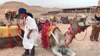 मोरक्को एक अविश्वसनीय देश | Morocco an Amazing Country in Hindi