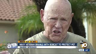 San Diego Vietnam veteran brawls with bobcat to save dog from attack