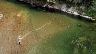 Fly Fishing New River with super Clear water | I Fell Off a Cliff!!