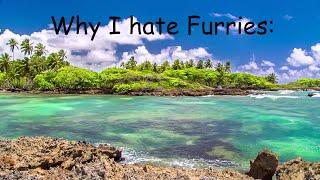 Top 10 reasons as to why I hate furries