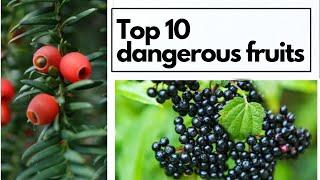 Top 10 dangerous fruits/ Information in tamil/ Must watch