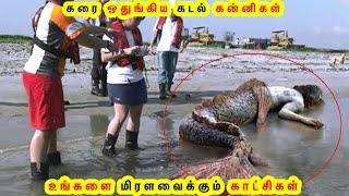 கரை ஒதுங்கிய கடல் கன்னிகள் || Mermaid Fish And Strange Found On Beach || Tamil Galatta News GKFOX