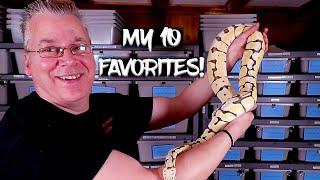 My 10 Favorite Snakes in my Collection!