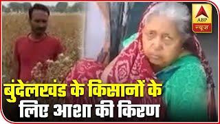 Bundelkhand: Saffron Cultivation Can Become A Lifeline For Farmers | ABP News