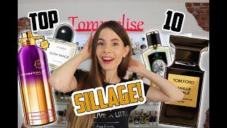 TOP 10 NICHE PERFUMES WITH BEST SILLAGE FROM MY COLLECTION | Tommelise