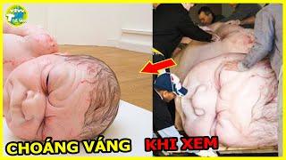 7 Tác Phẩm Nghệ Thuật Đỉnh Cao Quái Đản  Và KÌ DỊ Của Những Bộ Óc Thiên Tài Sẽ Khiến Bạn Rối Não