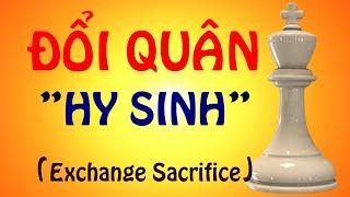 Đòn Chiến Thuật "Đổi Quân Hy Sinh" Bá Đạo