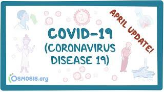 COVID-19 (Coronavirus Disease 19) April Update- causes, symptoms, diagnosis, treatment, pathology