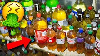 Top 10 Most Disgusting things found in Hoarding Buried Alive