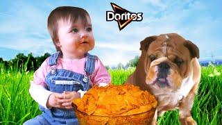 Top 20 Funniest Good Doggy Doritos Commercials EVER!