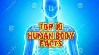 Top 10 amazing facts about the human body