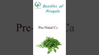 Top 10 Benefits of Arugula | Heathy Vegetables Subscribe us for Healthy Information