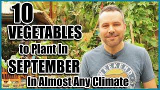 Top 10 Vegetables to plant in September