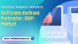 Top 10 Company In Software Defined Perimeter SDP Market Size And Forecast- Verified Market Reports