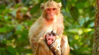 The youngest Mother and her first Newborn, she is a very sweet mother for her newborn 3 days old