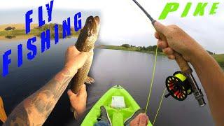 How To FLY FISH Northern Pike From A Kayak! Fish FRENZY Catching Jack!