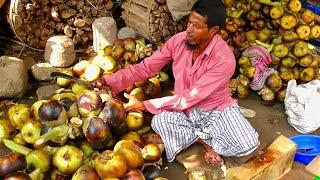 UNIQUE Foods around the World - Best street food / food compilation / TOP food near me / Part - 976