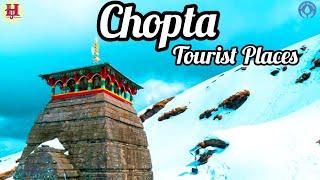 Chopta Tourist Places | Top 10 Chopta Place | Tungnath | Chandrashila Trek | Ukhimath | Sari Village