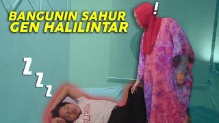 TIPE-TIPE SAHUR GEN HALILINTAR