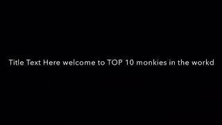 top 10 monkeys!! (number 1 will shock you!)!!!!!