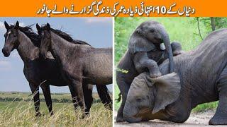 10 Longest Life Span Animal | top 10 longest living animals