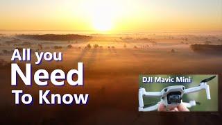 Mavic Mini: Top 10 Tips: All You Need to Get Flying & Stay Flying