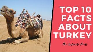 Top 10 Facts about turkey • Animation • Top 10 • The Infinite Facts