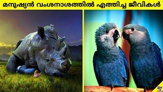 Animals Extinct Because Of Humans In The Last 10 Years | Facts Malayalam | 47 ARENA