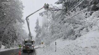 Western Washington hit with January snow