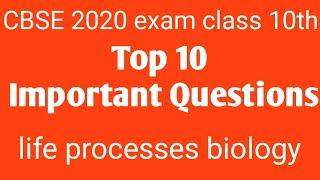 CBSE 2020 Important Questions || Top 10 Questions of Life Processes Class 10 Biology