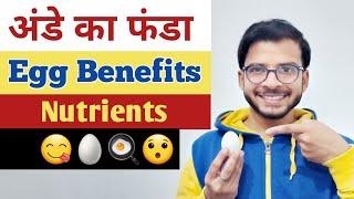 EGG | TOP 10 HEALTH BENEFITS | WEIGHT LOSS | CHOLESTEROL |HINDI | Get FIT