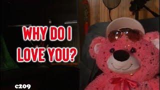 Declarations Of Love Quotes - Why do I love you?